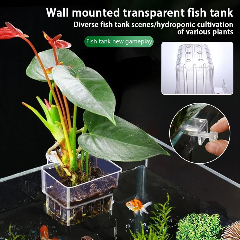 Aquarium Plant Ornament - Aquarium Hanging Planter Cups Wall Mounted