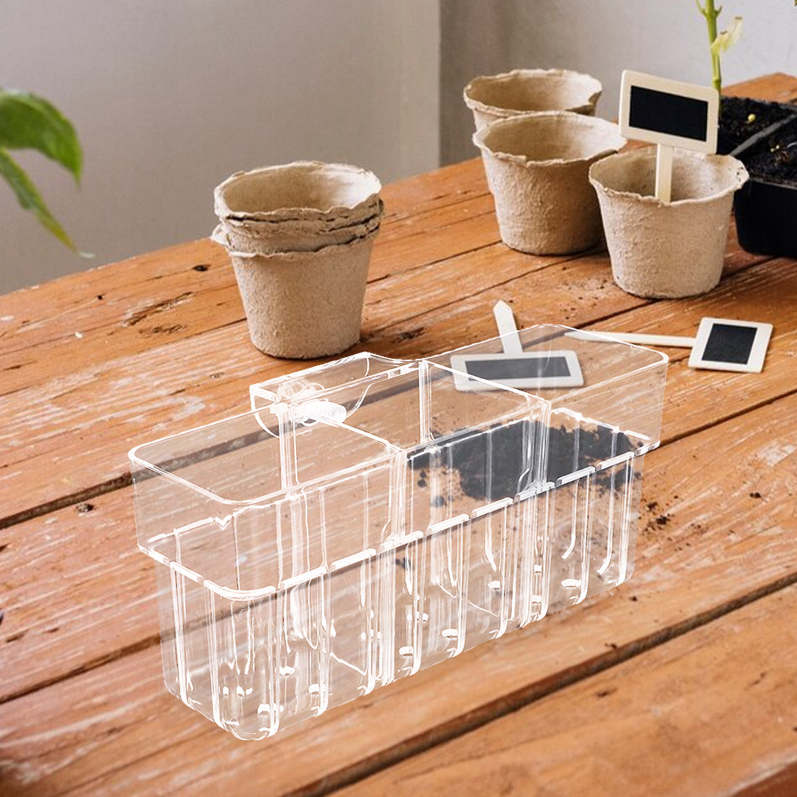 Aquarium Planted Wall - Three Compartment Clear Hydroponic Plant Basket